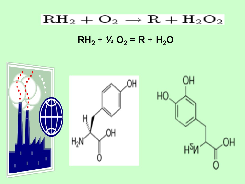 RH2 + ½ O2 = R + H2O